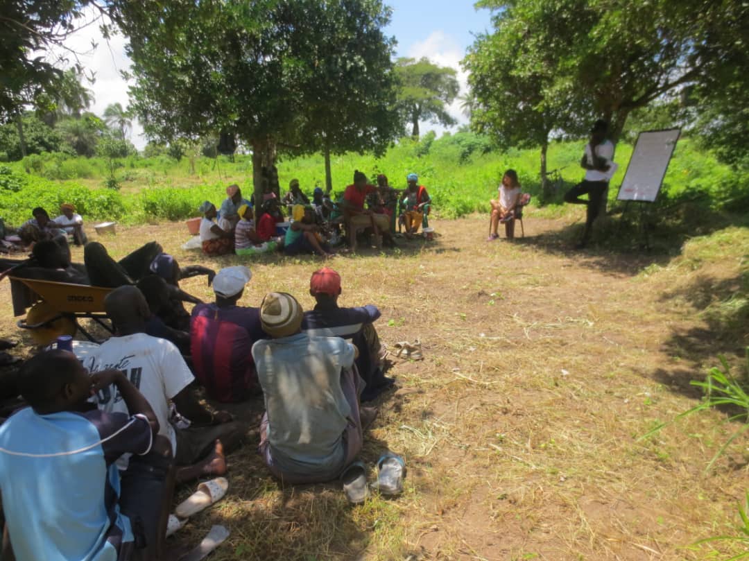 Desarrollo talleres economía sostenilbe senegal