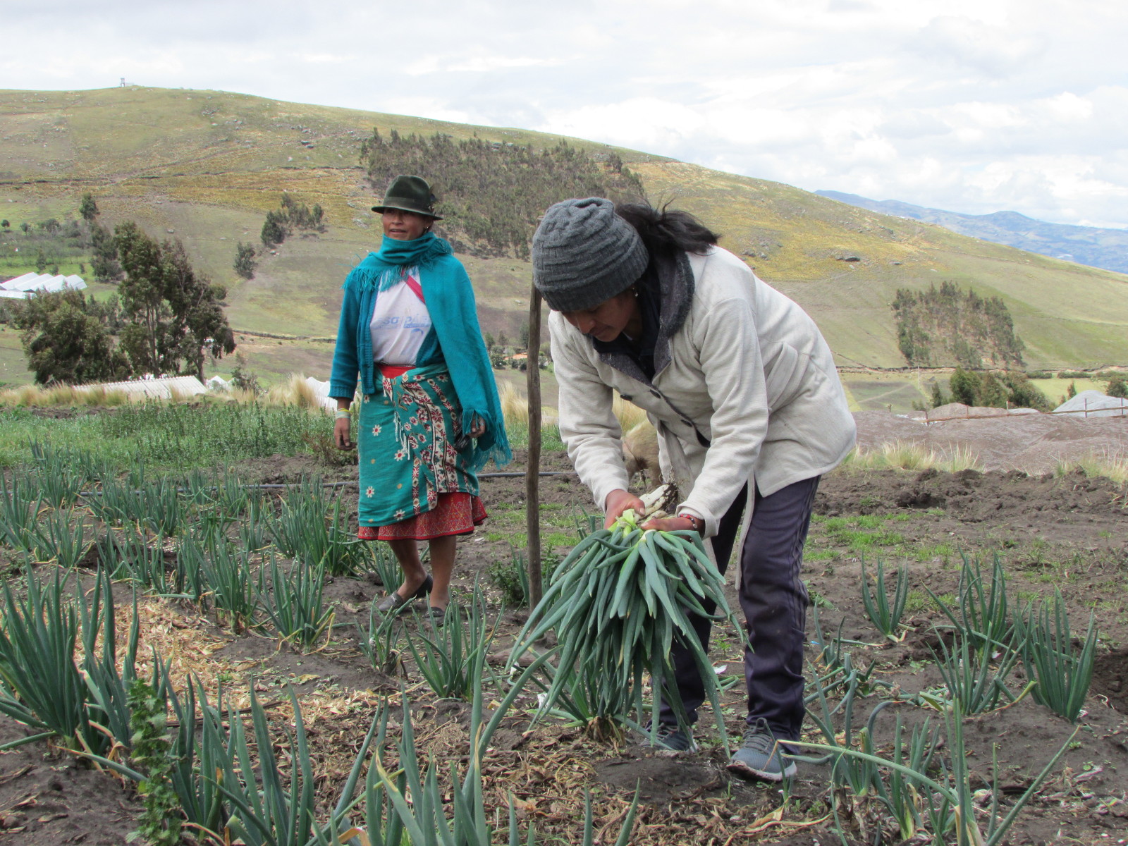 Mujeres campesinas en Ecuador