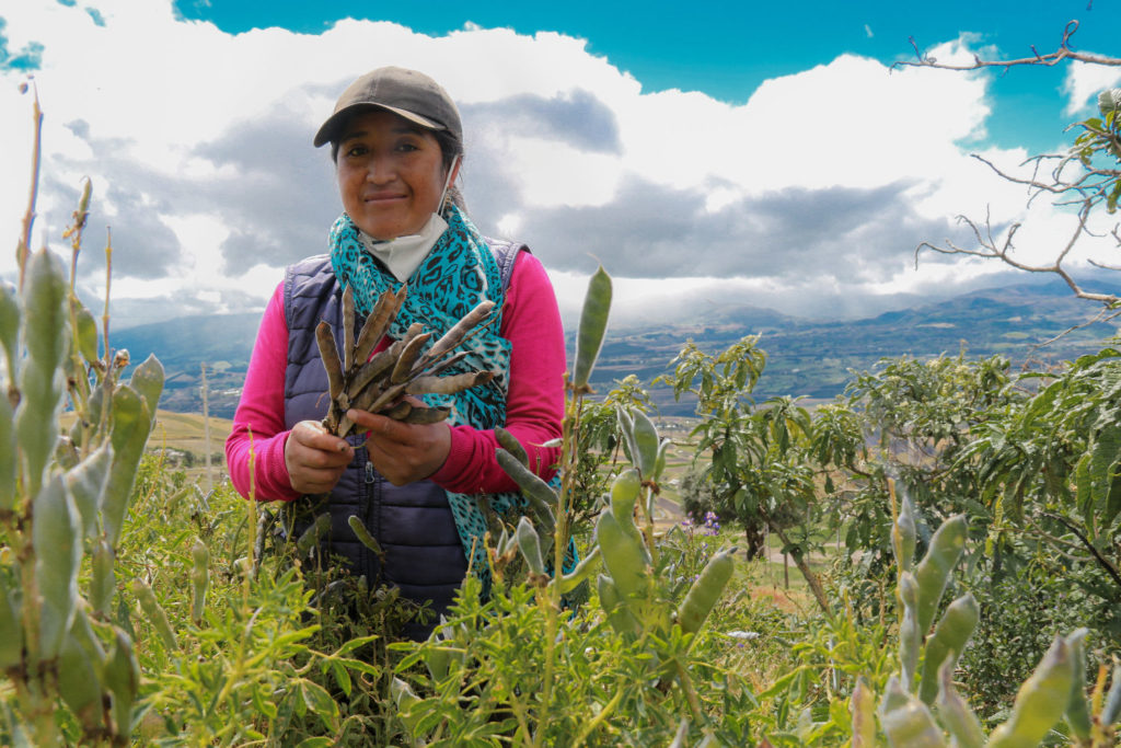 agricultora