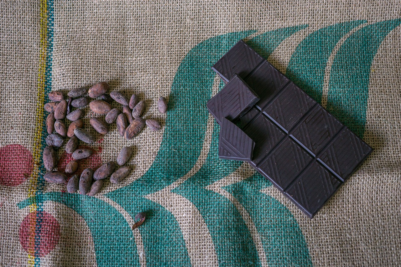 Tableta de chocolate y semillas de cacao