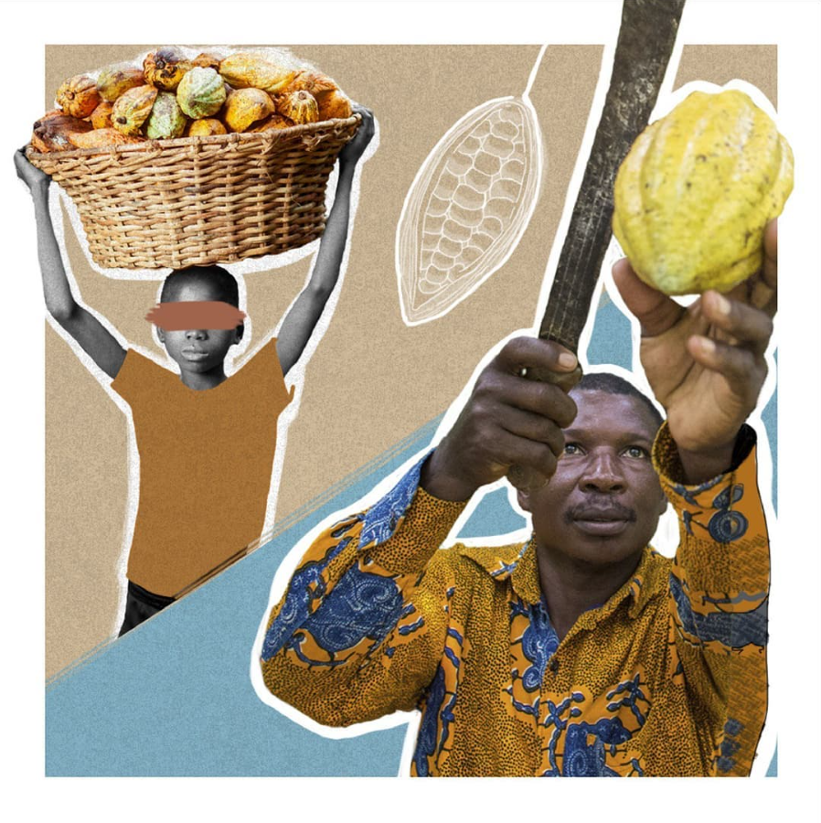 Trabajo infantil en el sector del cacao. Ilustración de la Coordi