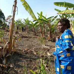 Mujer africana ante su campo de cultivo