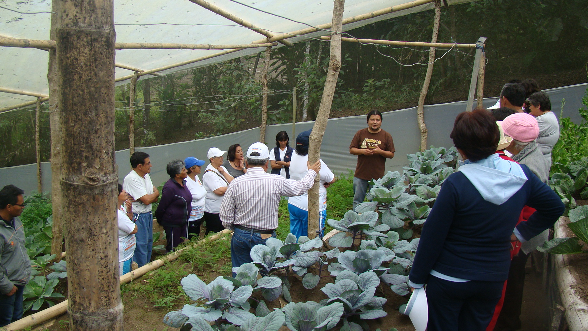 Sesiones de capacitación con productores locales realizadas en el Centro de Información.